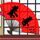 穆赫兰道
