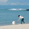 秘密